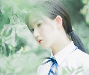 卵泡单（卵泡单个切面数大于10）