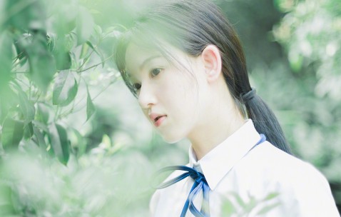 卵泡单（卵泡单个切面数大于10）