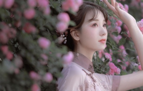 北京试管哪里成功率高呢知乎